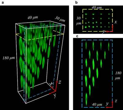 西电物理学院王军利教授团队在国际顶级期刊发表新型元件与器件研发突破性成果