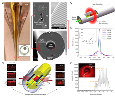 华中科技大学陶光明教授团队《Mater. Today》: 柔性电子的新前沿 - 热拉制先进功能纤维元件及器件的研发
